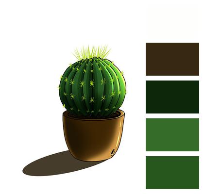 Cactus Potted Plant Plant Image